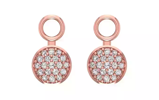 Round Women Drop  Earrings 3dm STL OBJ FBX Render Details