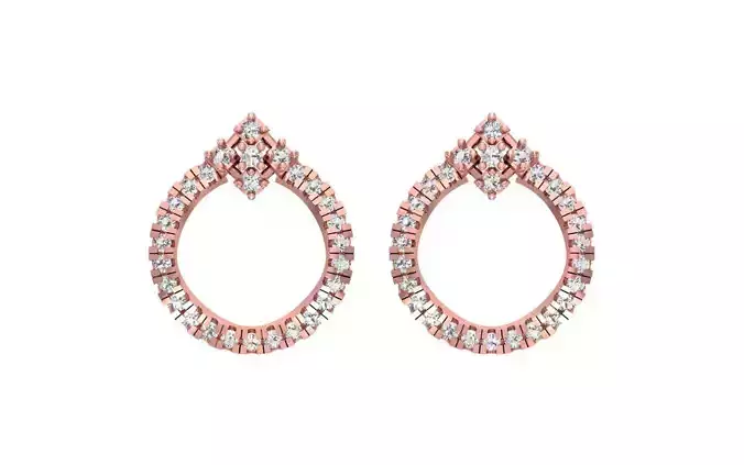 Unisex Earrings 3dm STL OBJ FBX Render Details