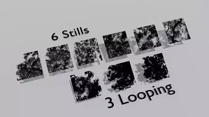 Tree Canopy GOBO Pack Animated and Stills Texture