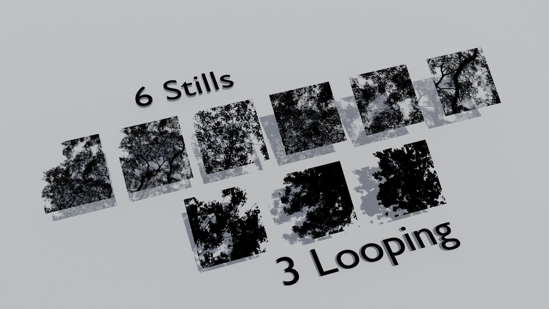 Tree Canopy GOBO Pack Animated and Stills free VR / AR / low-poly ...