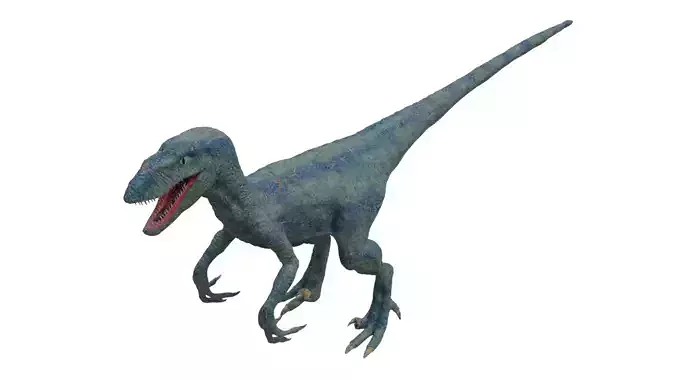 Velociraptor dinosaur