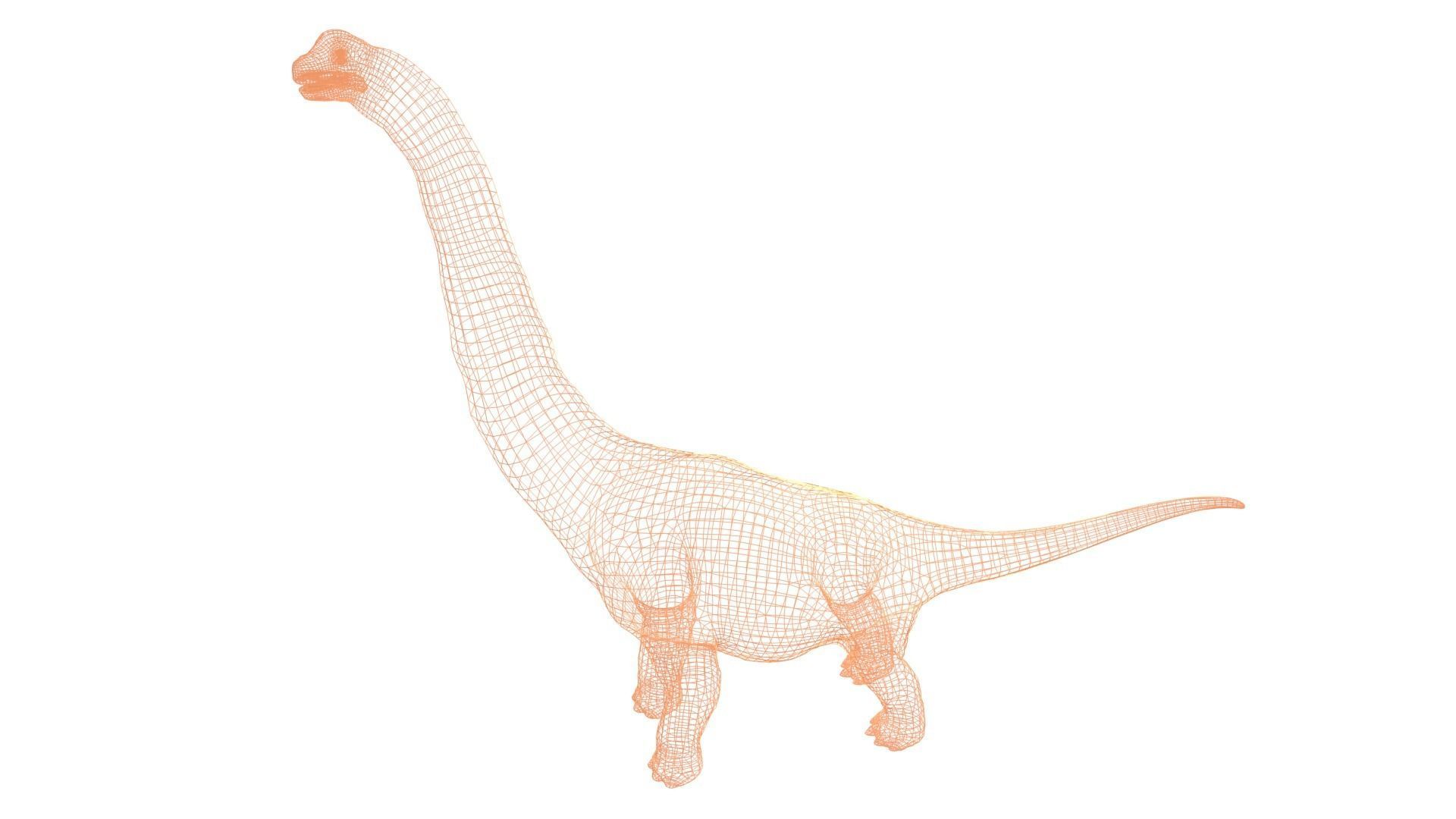 Alamosaurus Dinosaur Low-poly 3D model_9