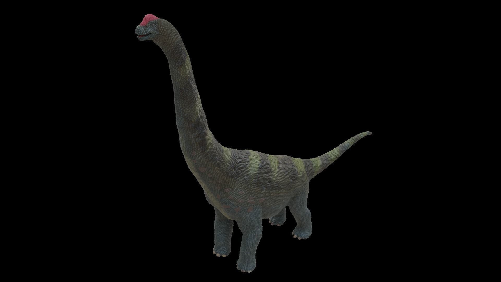 Alamosaurus Dinosaur Low-poly 3D model_1