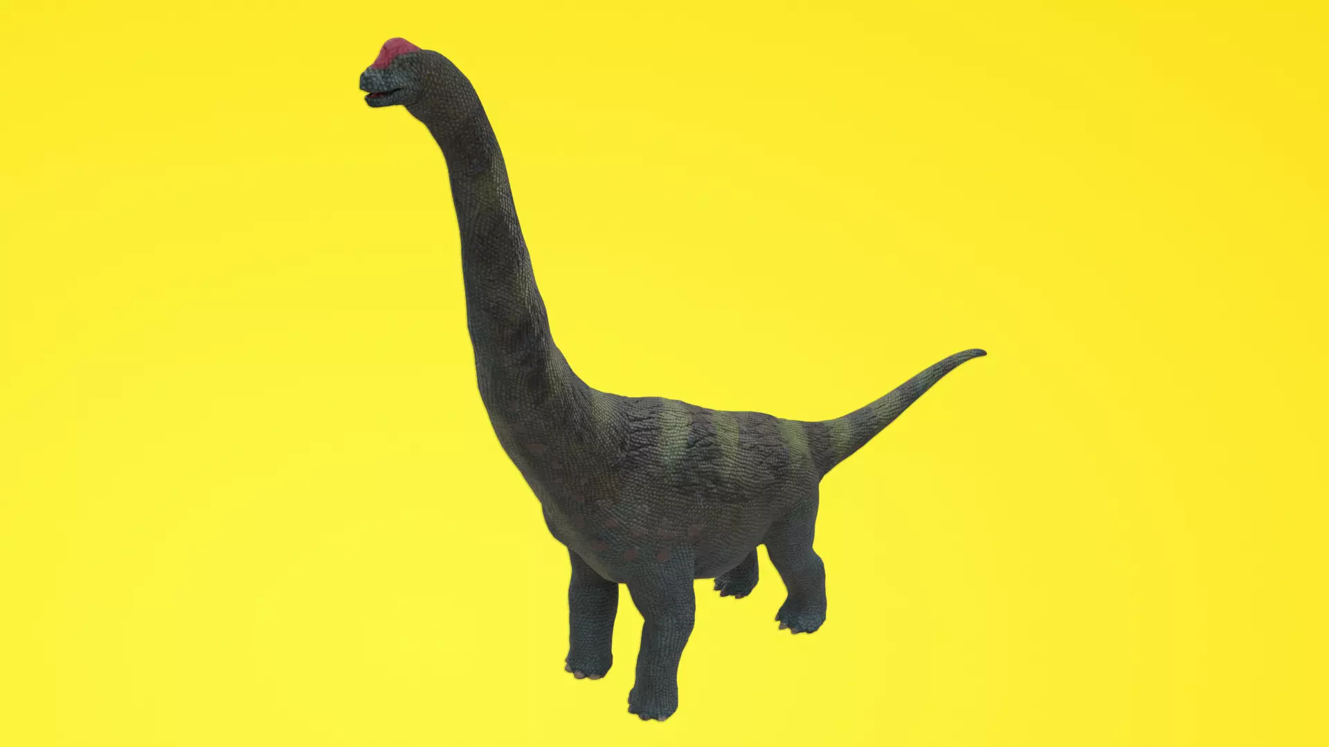 Alamosaurus Dinosaur Low-poly 3D model_0