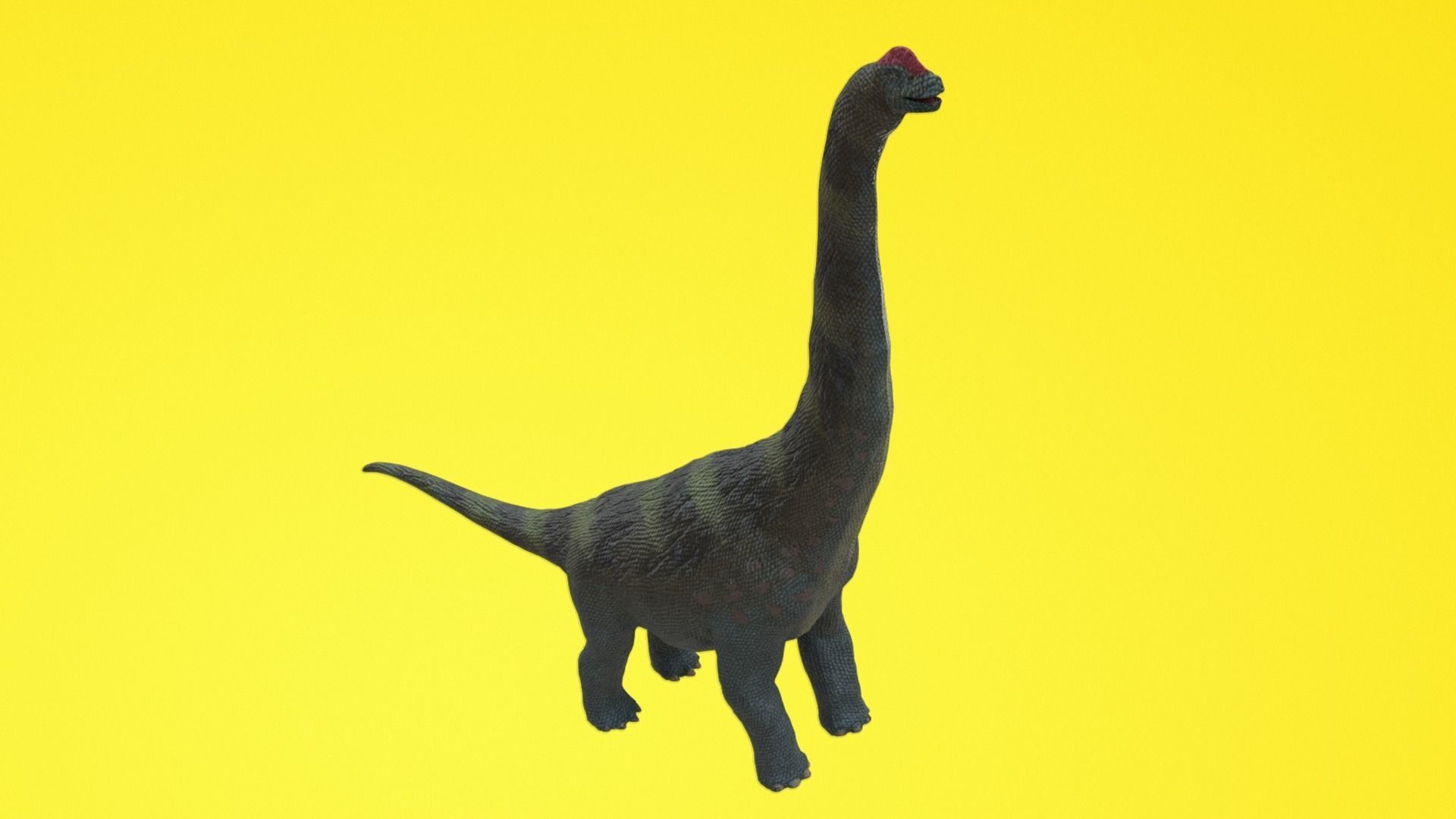 Alamosaurus Dinosaur Low-poly 3D model_4