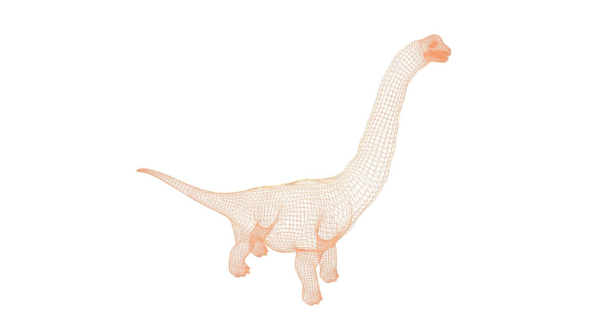 Alamosaurus Dinosaur Low-poly 3D model_11