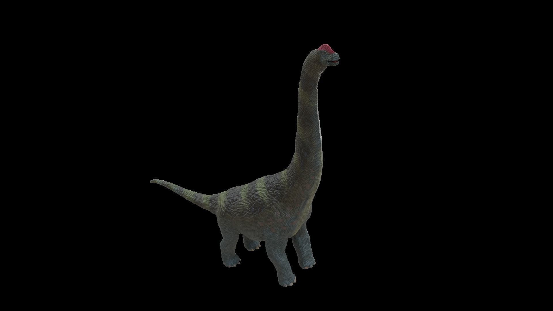 Alamosaurus Dinosaur Low-poly 3D model_5