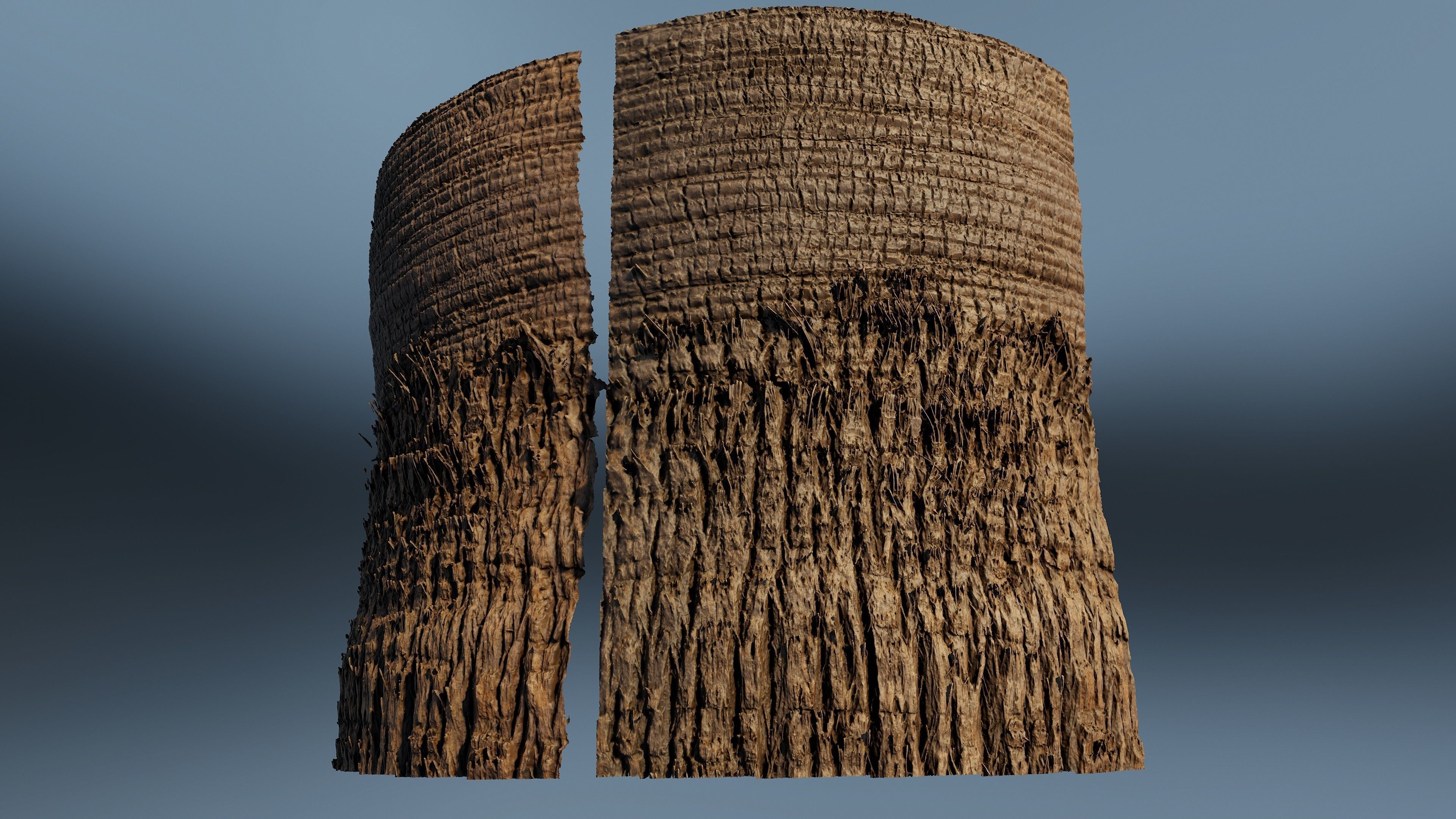 palmscan01 sculpture 3D model_10