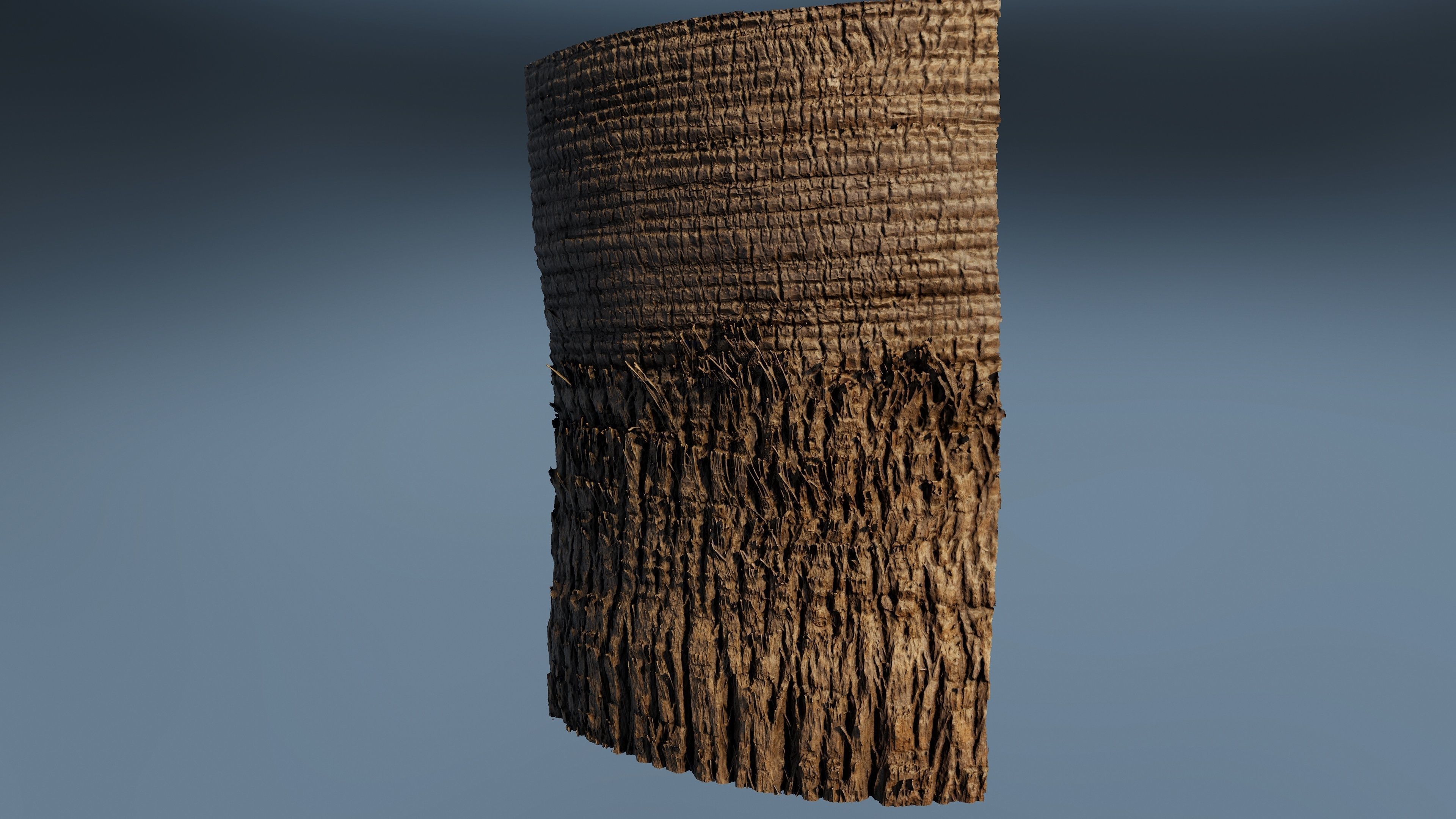 palmscan01 sculpture 3D model_3