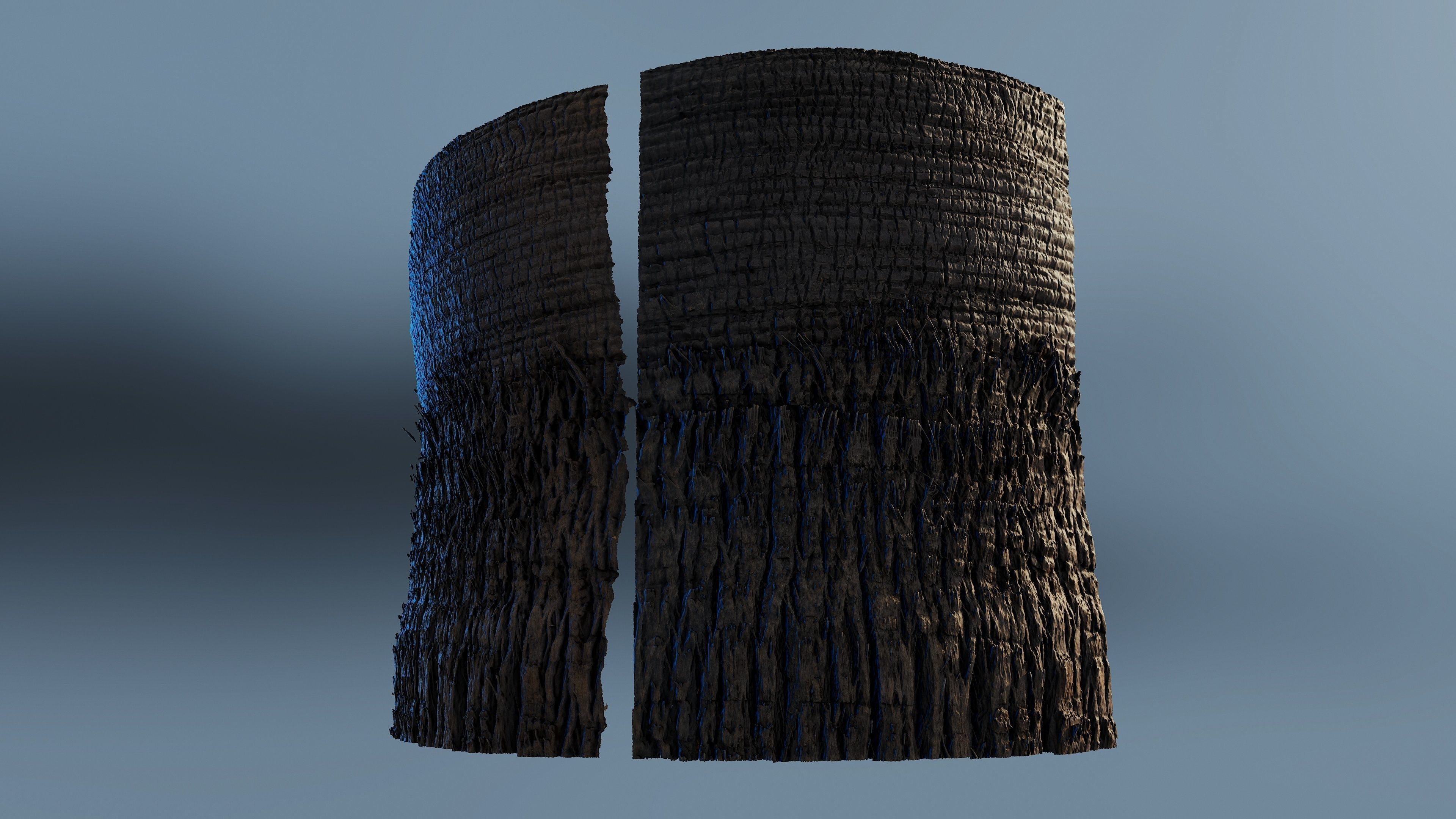 palmscan01 sculpture 3D model_5