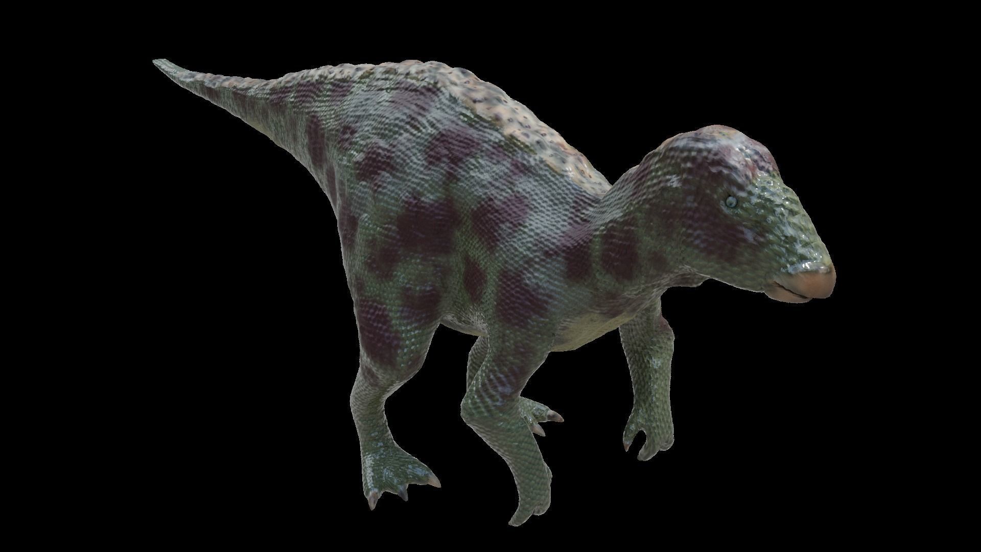 Iguanodon Dinosaur Low-poly 3D model_5