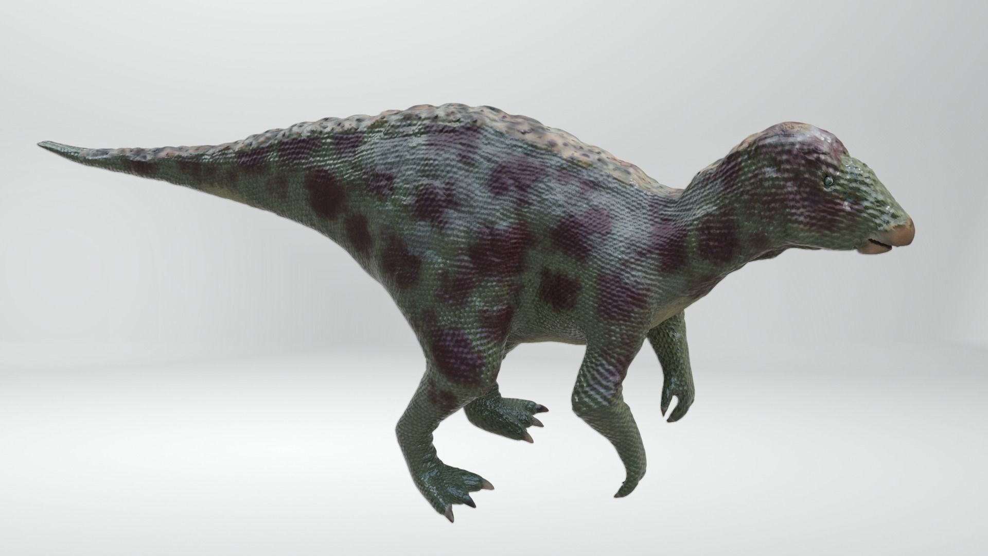 Iguanodon Dinosaur Low-poly 3D model_6