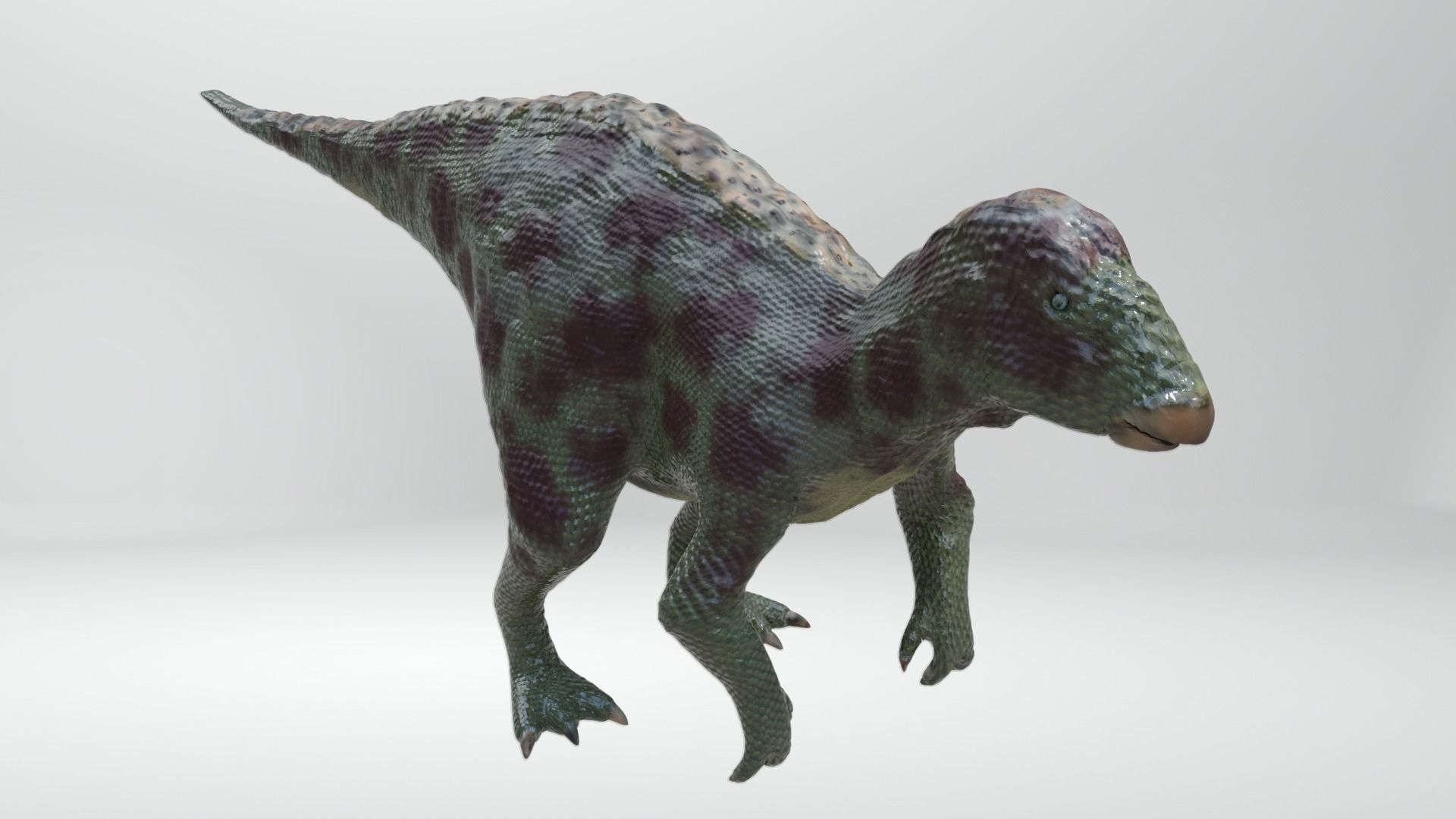 Iguanodon Dinosaur Low-poly 3D model_4