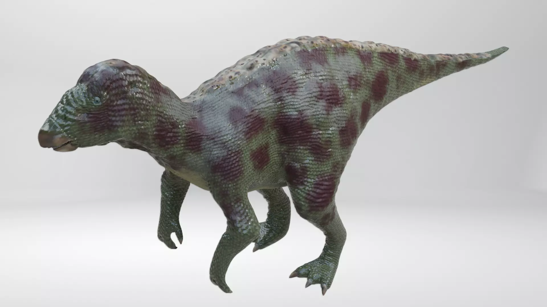 Iguanodon Dinosaur Low-poly 3D model_0