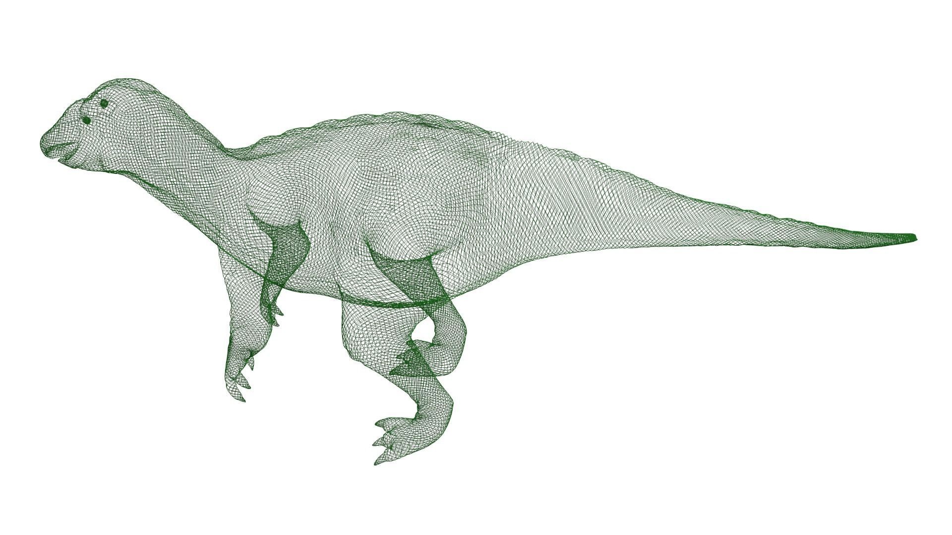 Iguanodon Dinosaur Low-poly 3D model_9