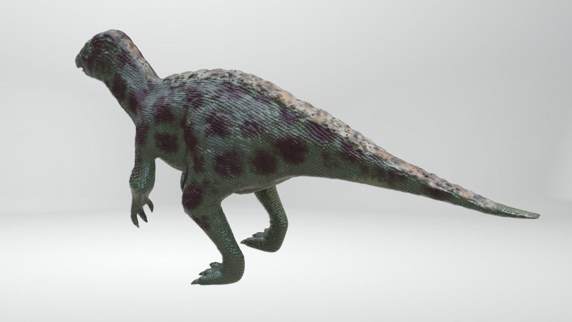 Iguanodon Dinosaur Low-poly 3D model_2