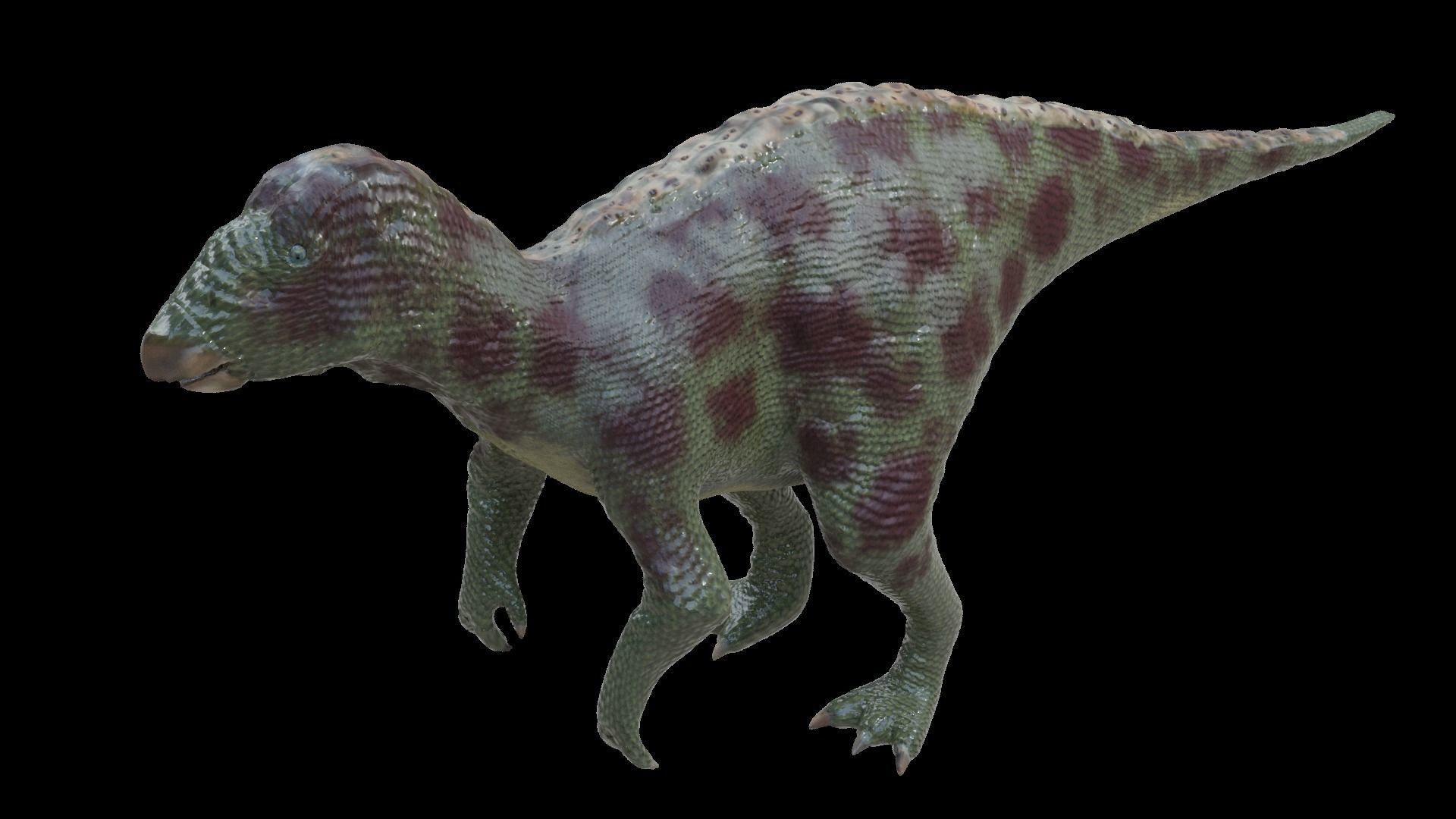 Iguanodon Dinosaur Low-poly 3D model_1
