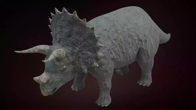 Triceratops Dinosaur
