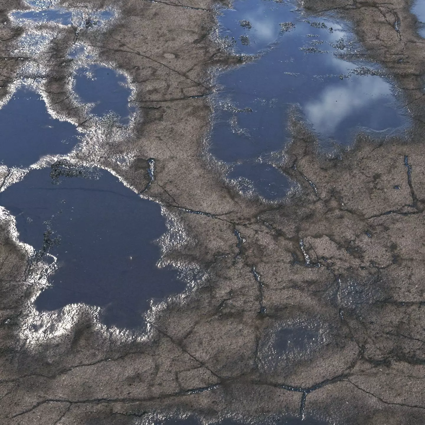  Wet asphalt material 05 4k seamless PBR 3D model_0