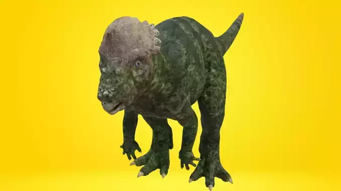 pachycephalosaurus Dinosaur Low-poly 3D model