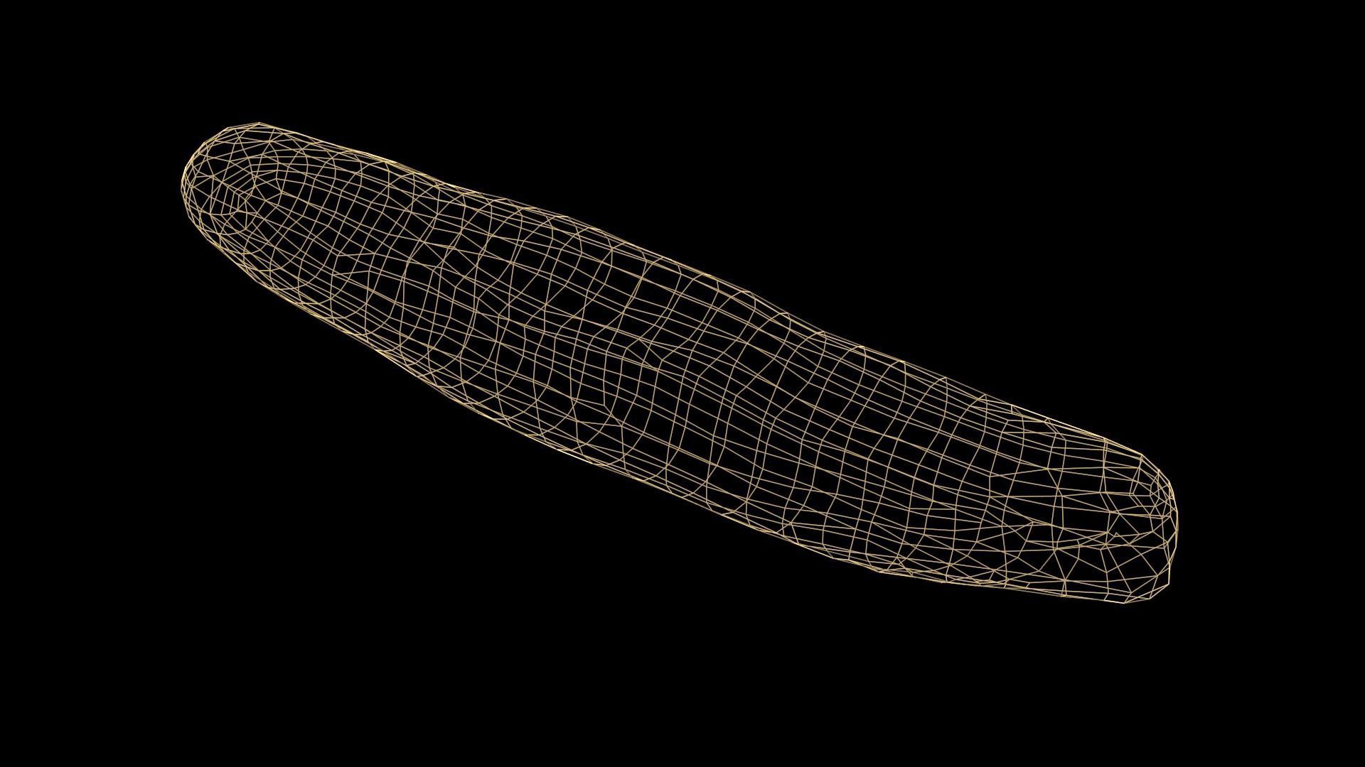 Baguette loaf of bread Low-poly 3D model_18