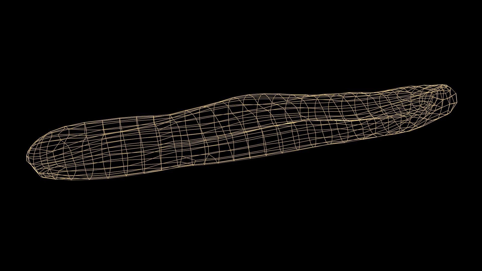 Baguette loaf of bread Low-poly 3D model_16
