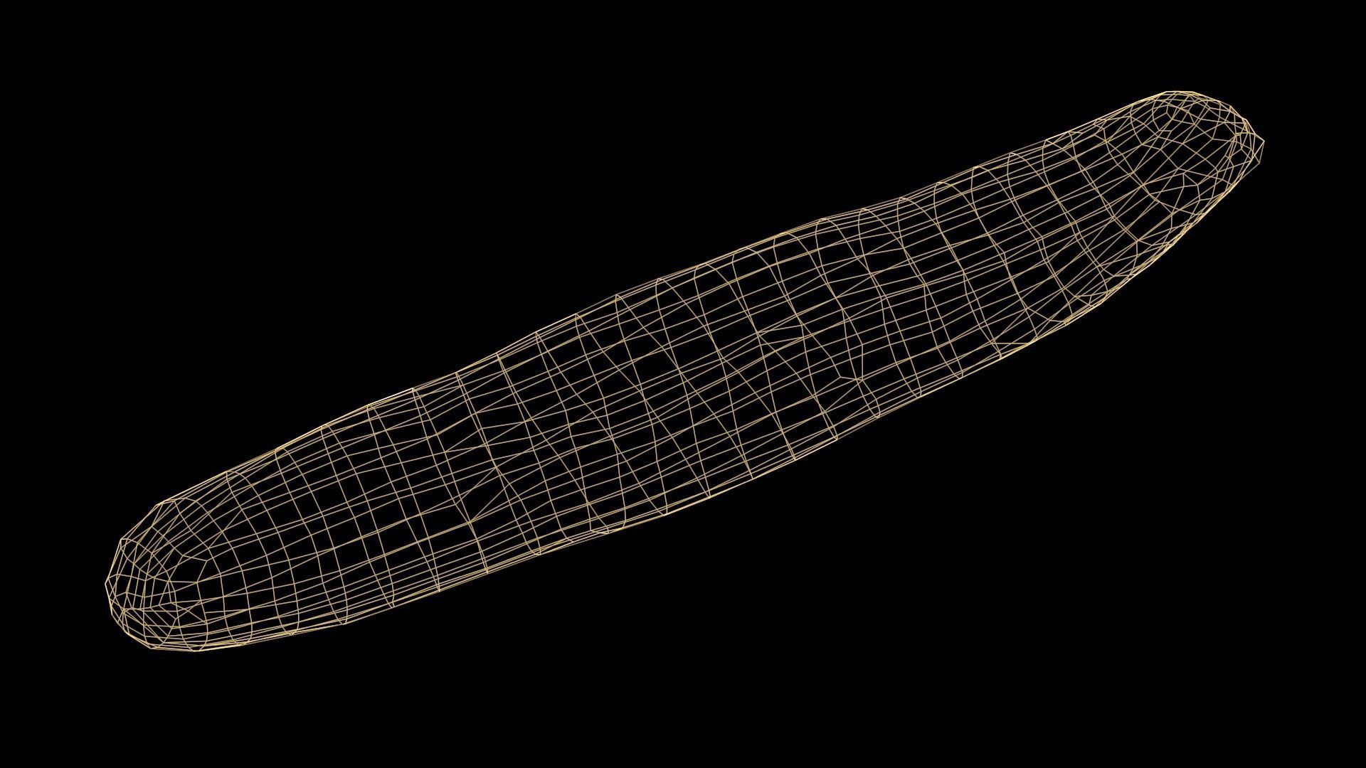 Baguette loaf of bread Low-poly 3D model_17