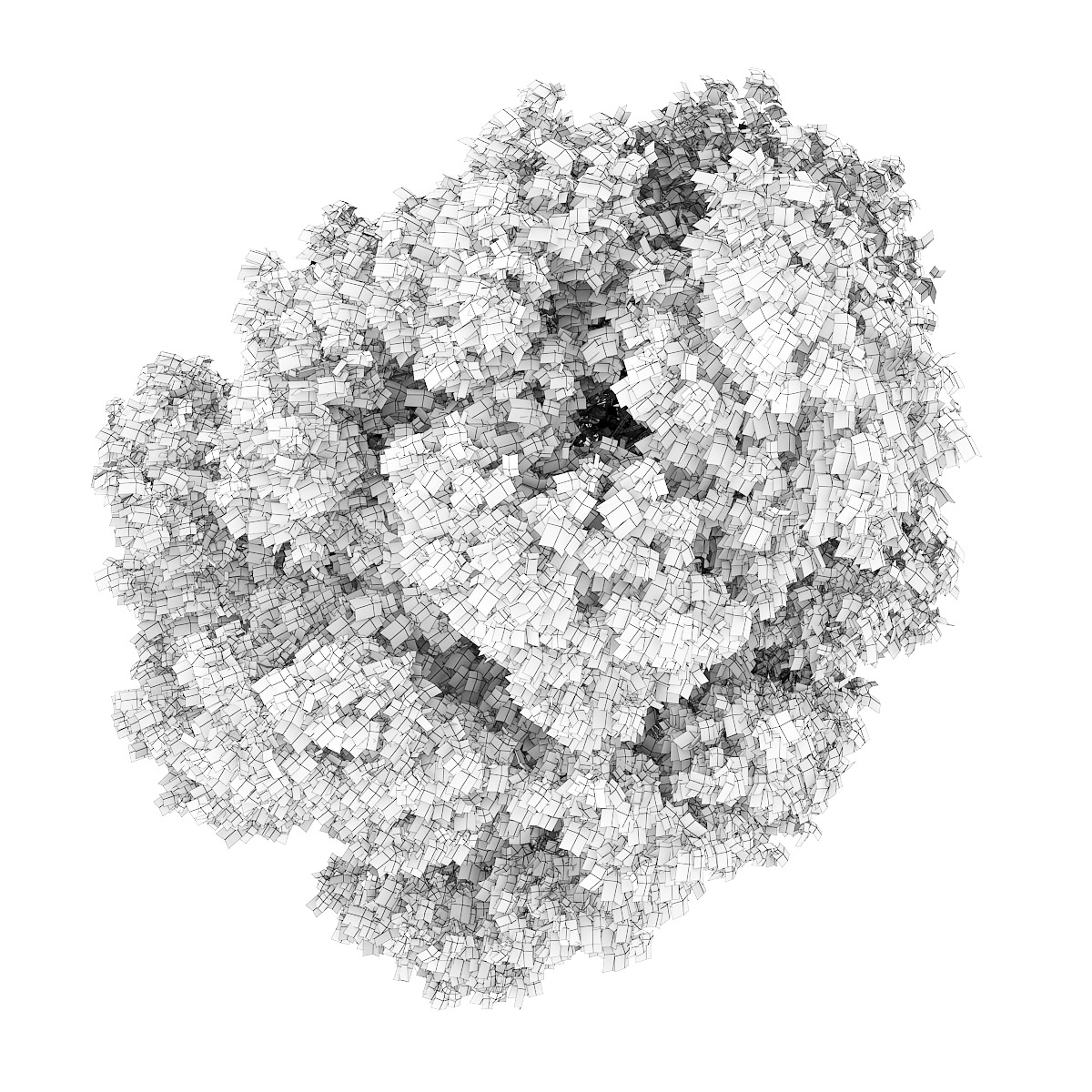 White Ash 2 Fraxinus americana 3D model_2