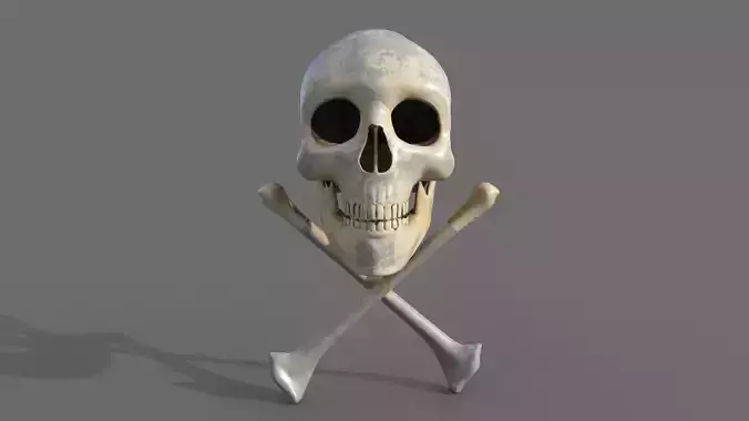 skull dangerous danger symbol 