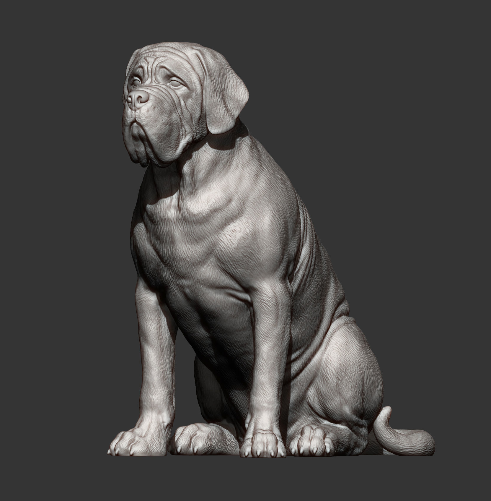 Mastiff dog 3D print model_14