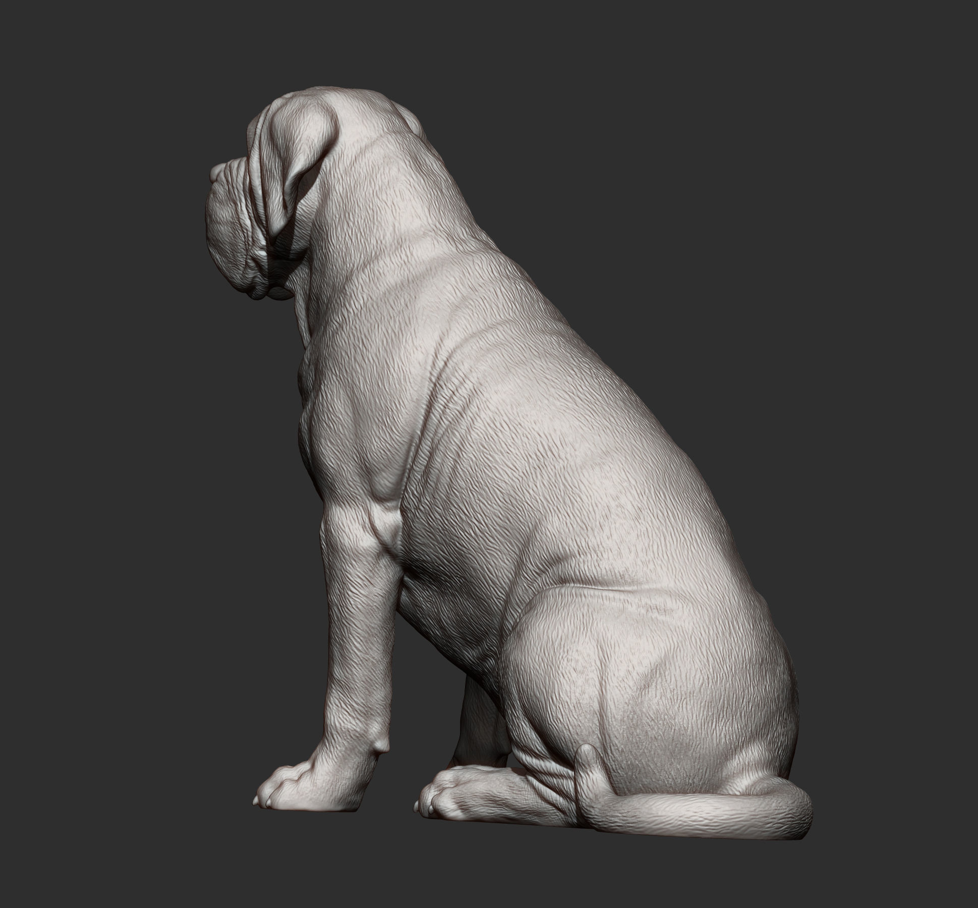 Mastiff dog 3D print model_12