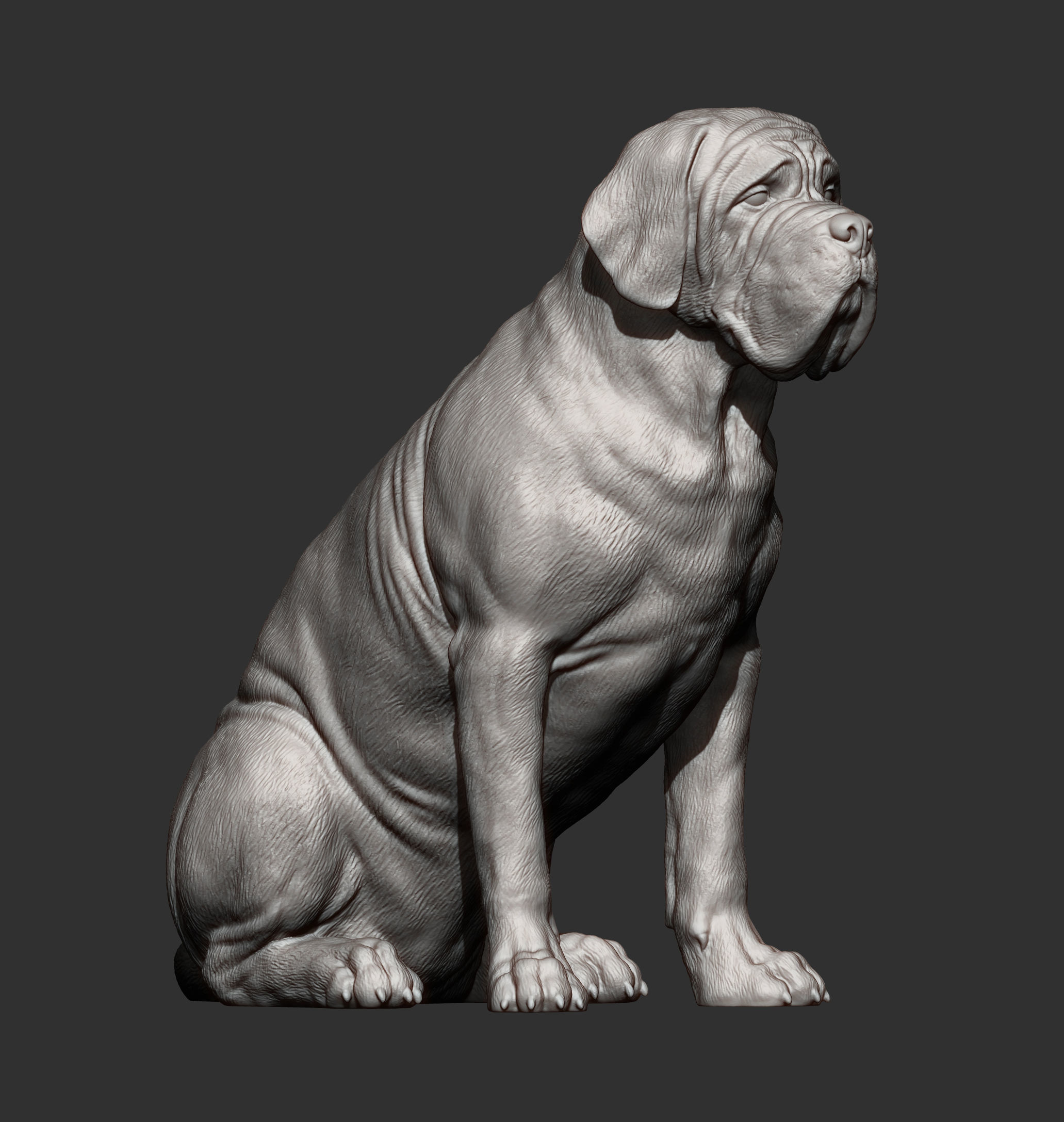 Mastiff dog 3D print model_13