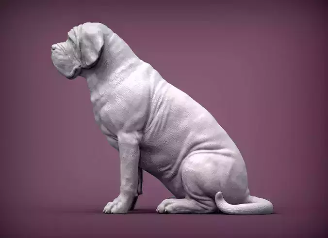 Mastiff dog 3D print model