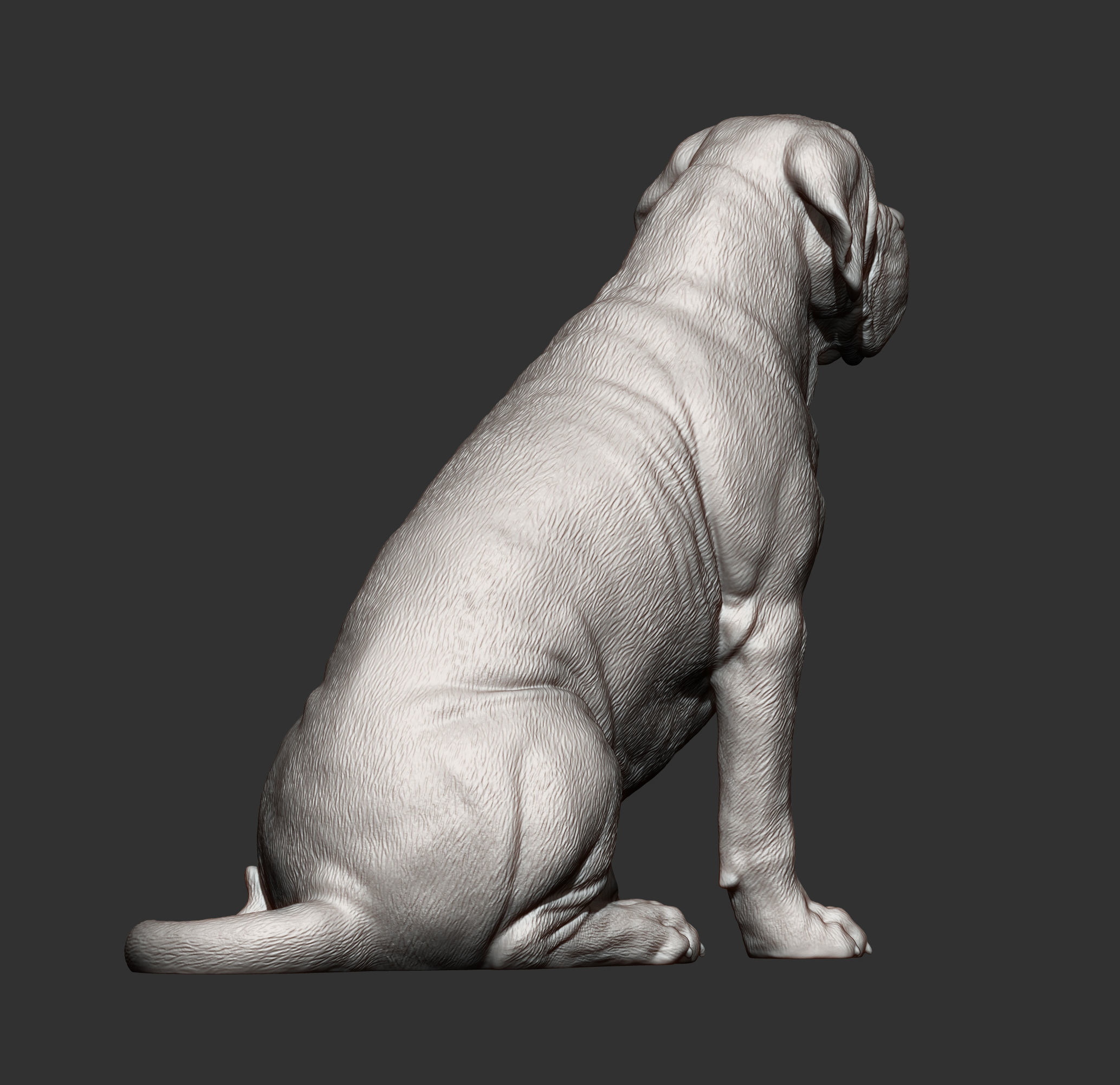 Mastiff dog 3D print model_8