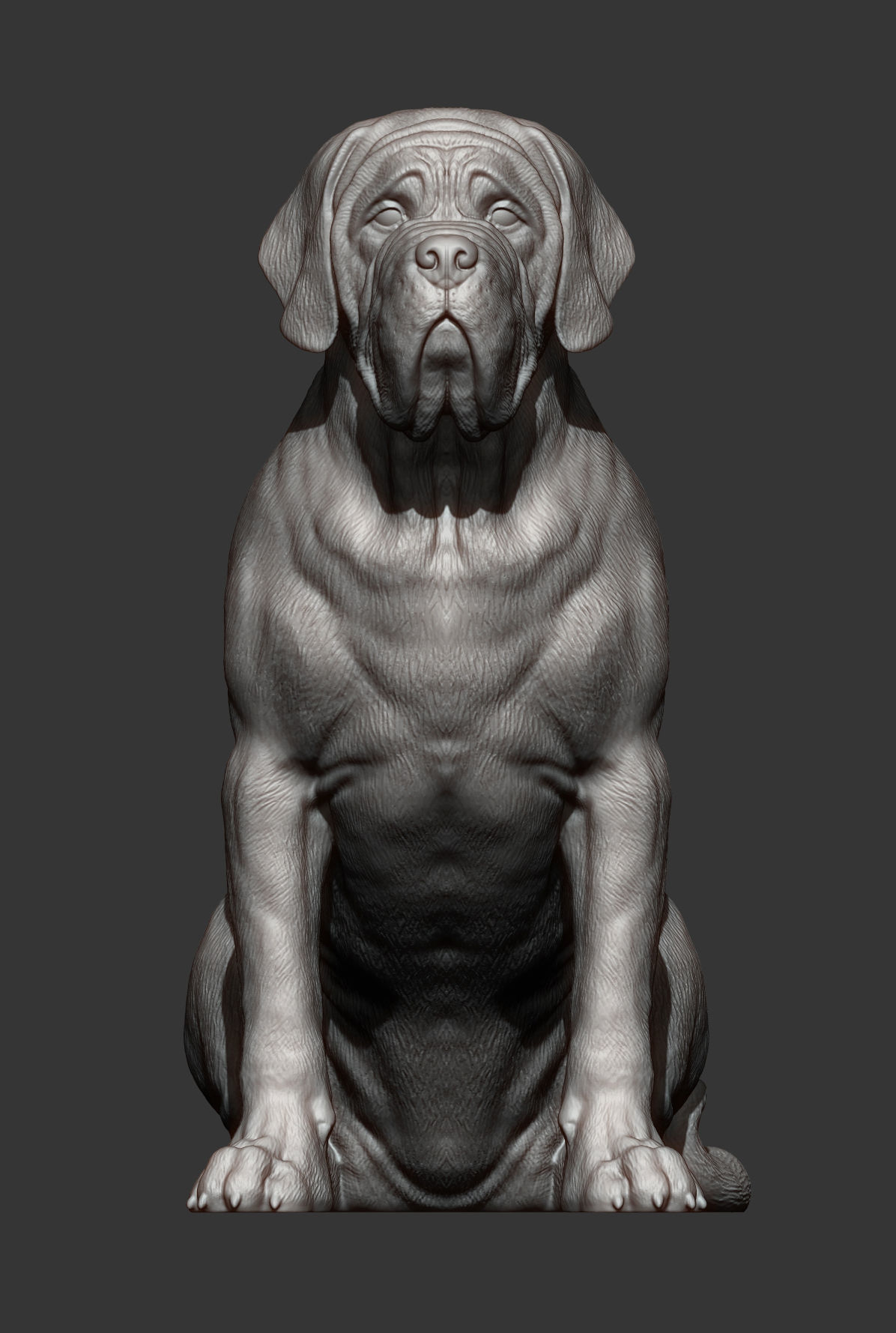 Mastiff dog 3D print model_9