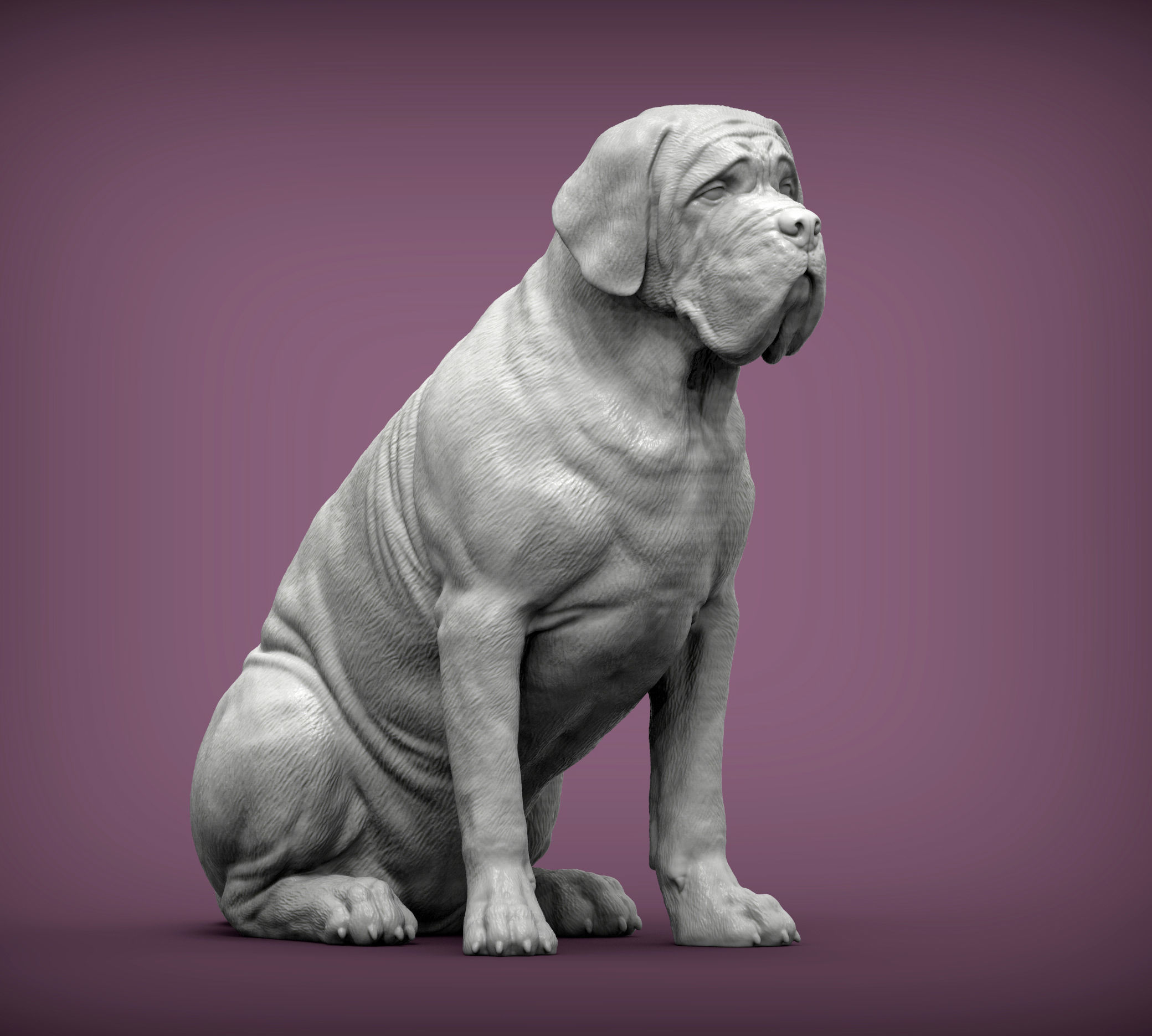 Mastiff dog 3D print model_6