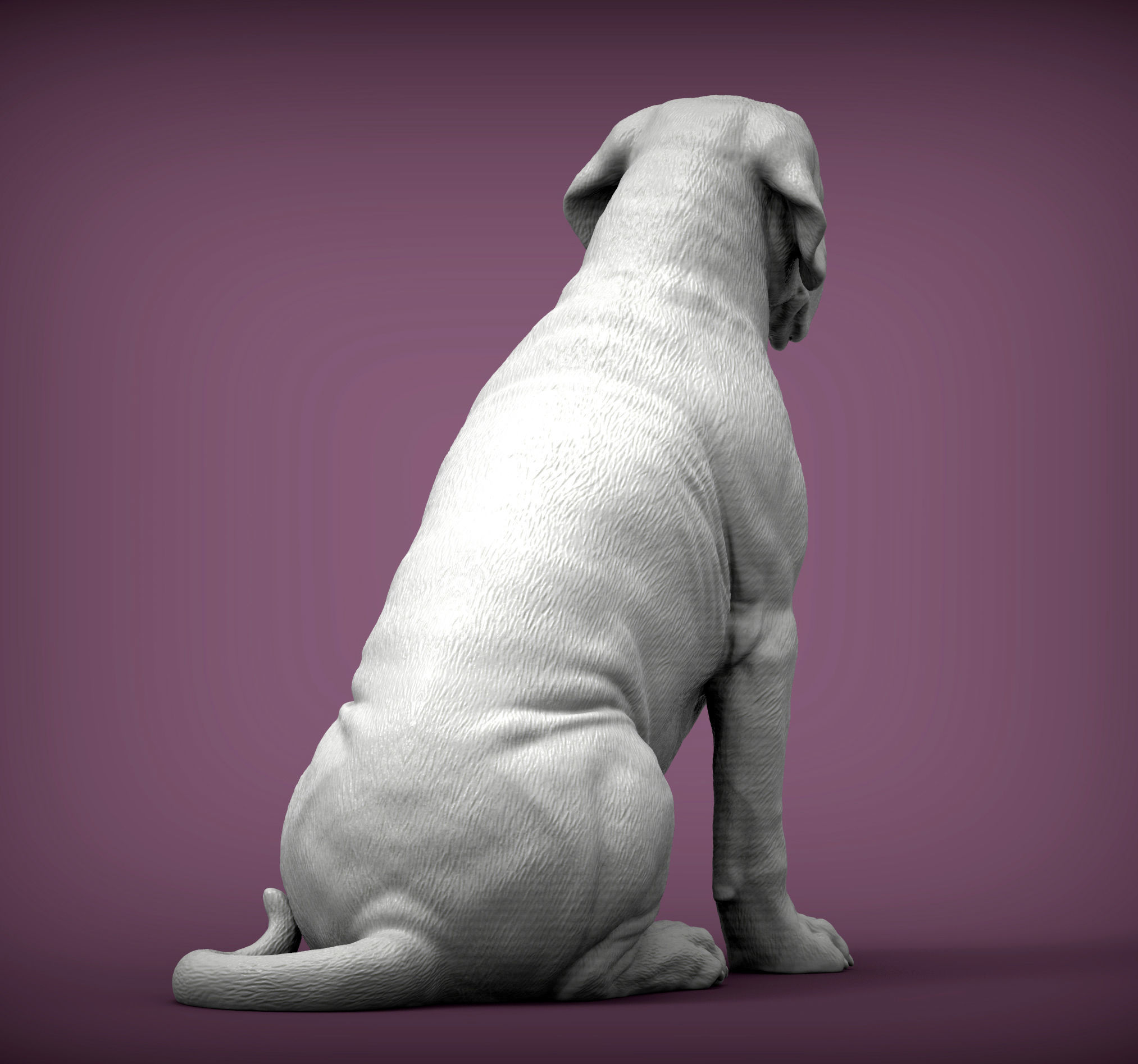 Mastiff dog 3D print model_7