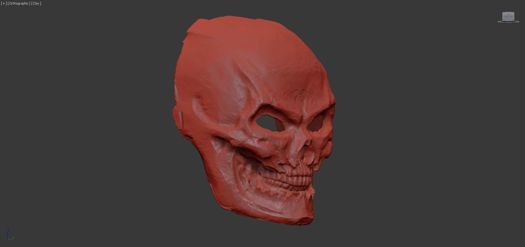 Grinning Skull 3D model_5