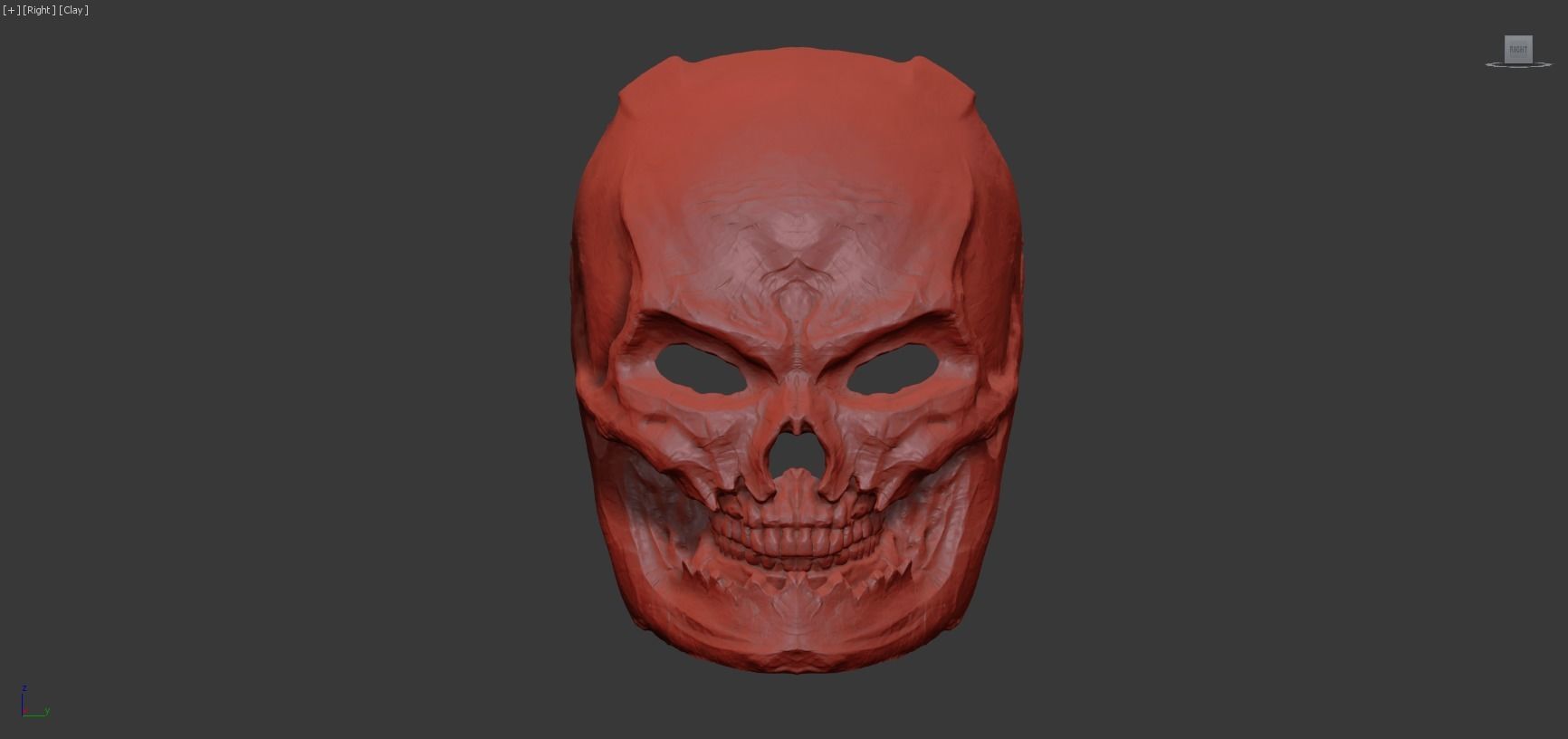 Grinning Skull 3D model_6