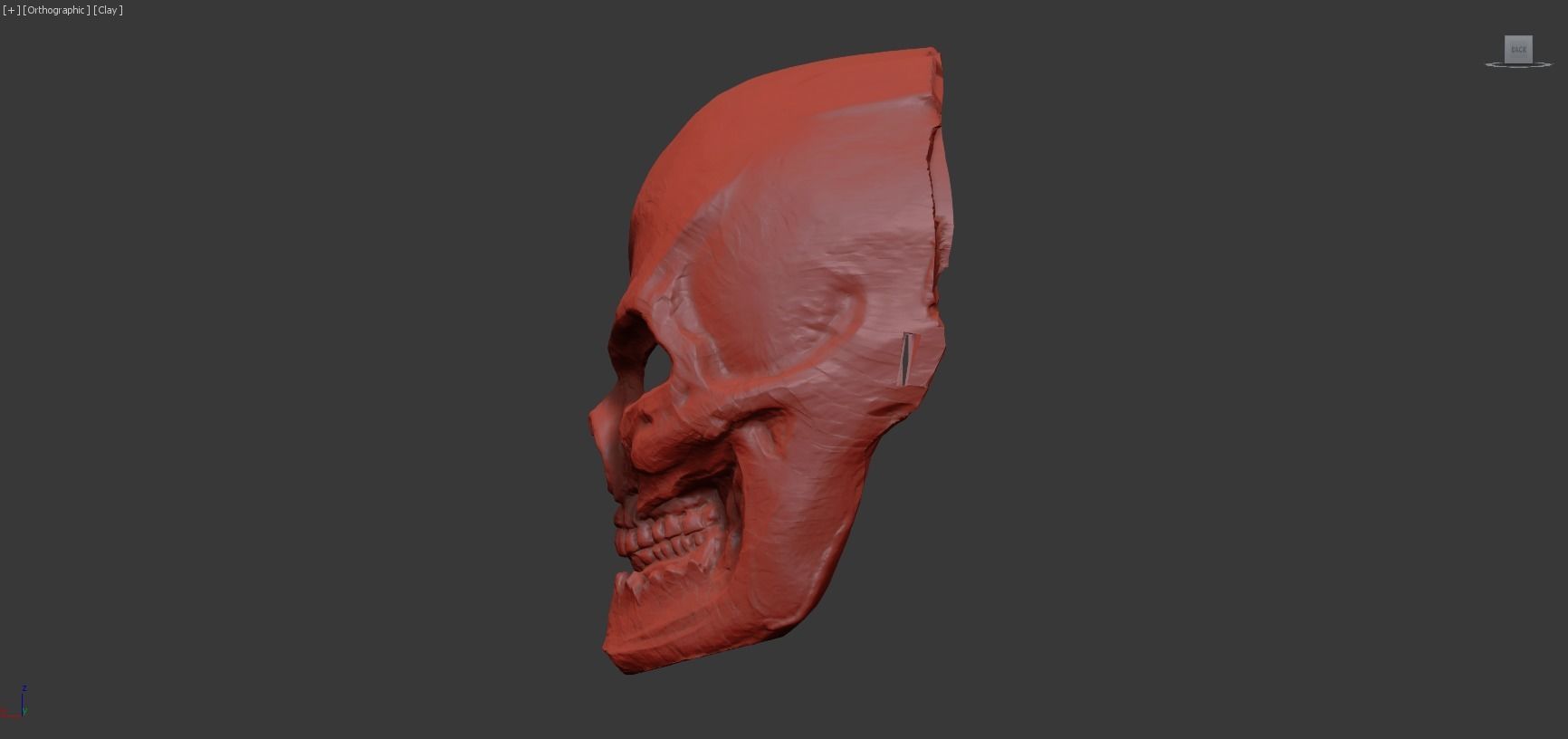 Grinning Skull 3D model_1