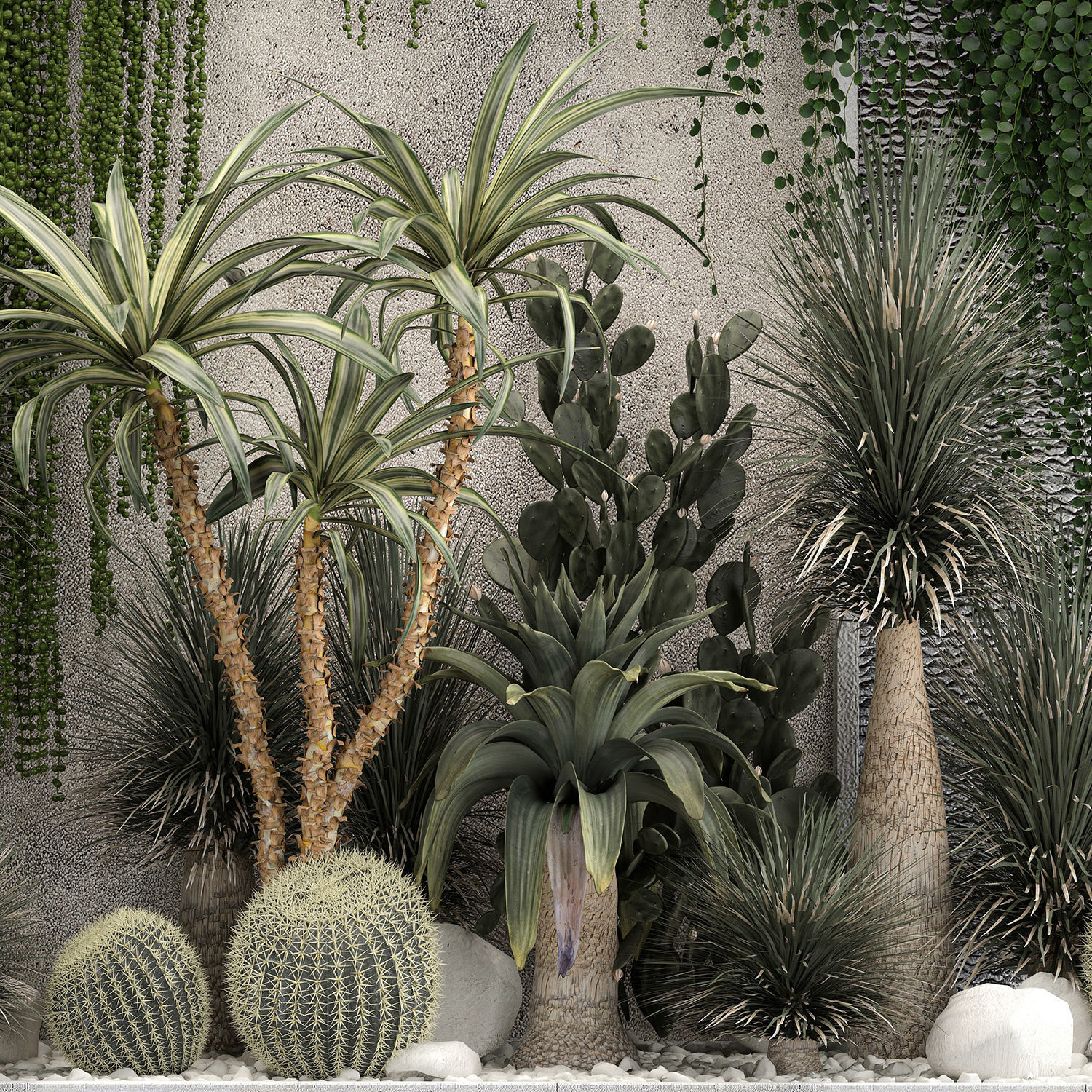 Collection Of Tropical Desert Plants From Cactus 3D model_7