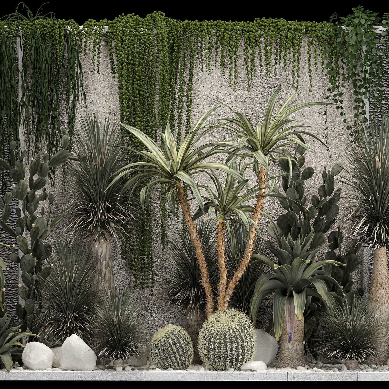 Collection Of Tropical Desert Plants From Cactus 3D model_4