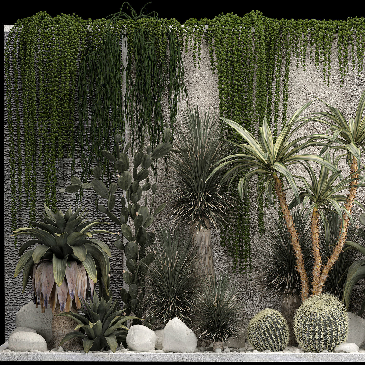 Collection Of Tropical Desert Plants From Cactus 3D model_2
