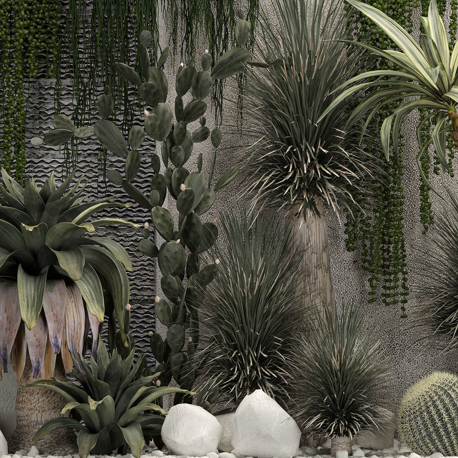 Collection Of Tropical Desert Plants From Cactus 3D model_6