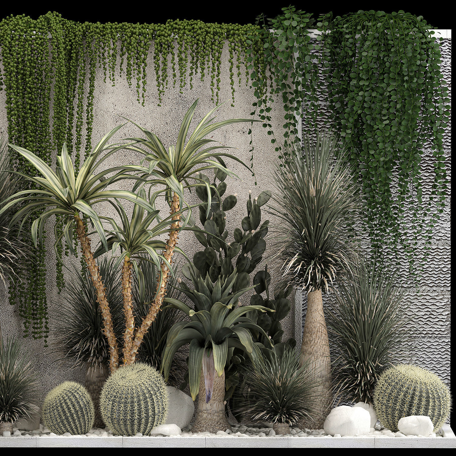 Collection Of Tropical Desert Plants From Cactus 3D model_5