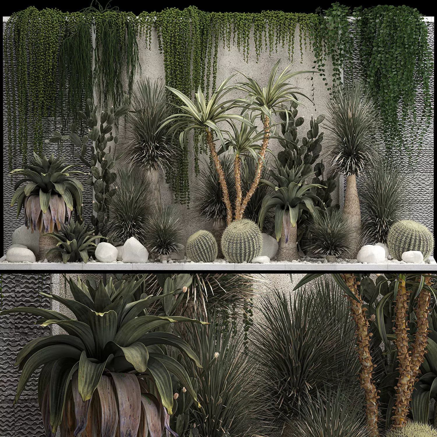 Collection Of Tropical Desert Plants From Cactus 3D model_0
