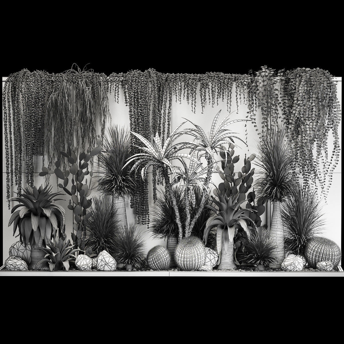 Collection Of Tropical Desert Plants From Cactus 3D model_8