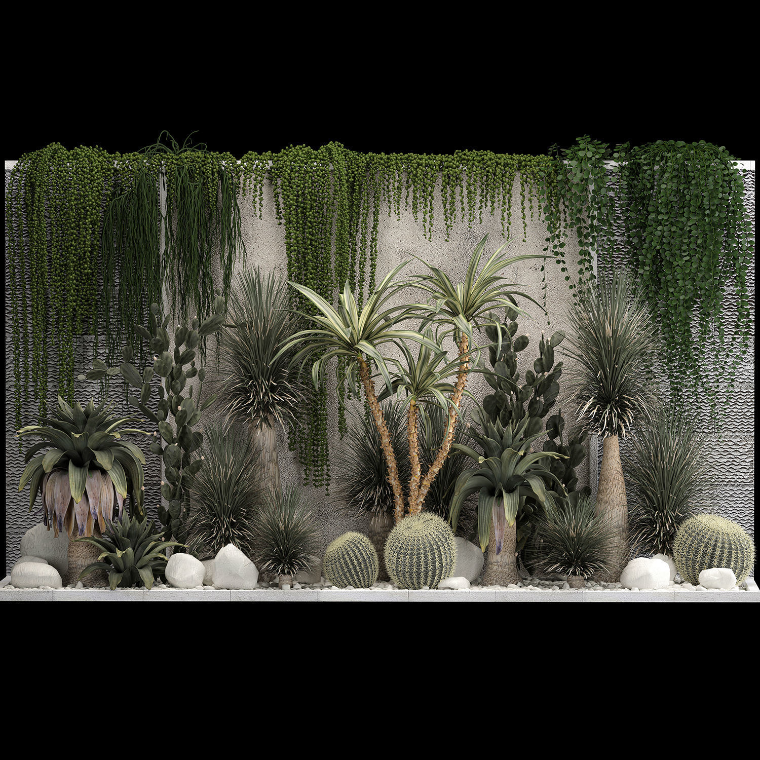 Collection Of Tropical Desert Plants From Cactus 3D model_1