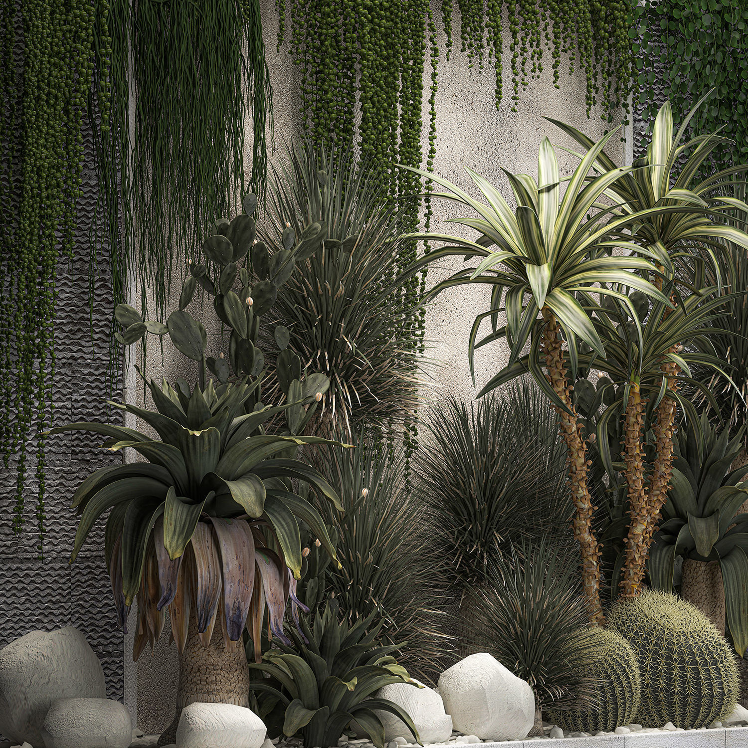 Collection Of Tropical Desert Plants From Cactus 3D model_3