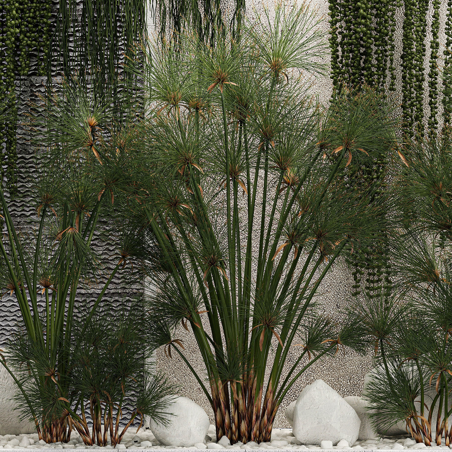 Garden And Tropical Flowerbed With Hanging Plants 3D model_5